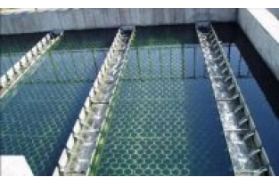 【干貨】生物濾池為什么一受沖擊氨氮去除率就會下降？